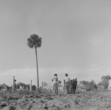 Bethune-Cookman College, Daytona Beach, Florida, 1943. Creator: Gordon Parks