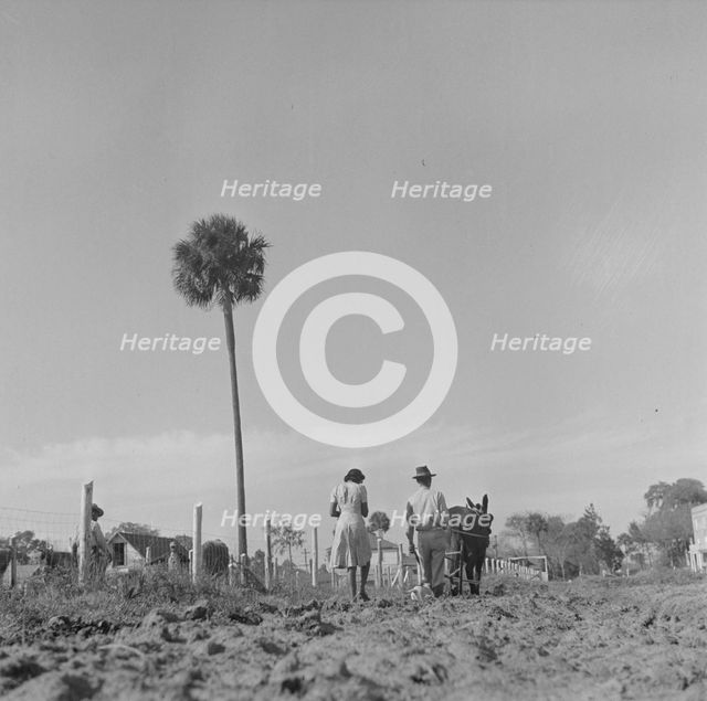 Bethune-Cookman College, Daytona Beach, Florida, 1943. Creator: Gordon Parks.