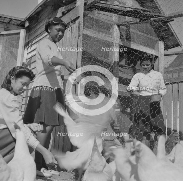 Bethune-Cookman College, Daytona Beach, Florida, 1943. Creator: Gordon Parks.