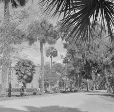 Bethune-Cookman College, Daytona Beach, Florida, 1943. Creator: Gordon Parks