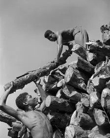 Bethune-Cookman College, Daytona Beach, Florida, 1943. Creator: Gordon Parks