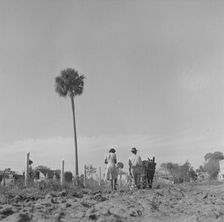 Bethune-Cookman College, Daytona Beach, Florida, 1943. Creator: Gordon Parks