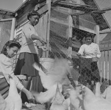Bethune-Cookman College, Daytona Beach, Florida, 1943. Creator: Gordon Parks