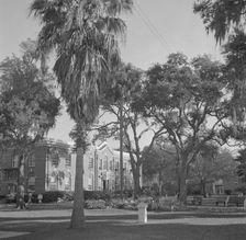 Bethune-Cookman College, Daytona Beach, Florida, 1943. Creator: Gordon Parks