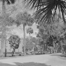 Bethune-Cookman College, Daytona Beach, Florida, 1943. Creator: Gordon Parks