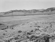 Between Tulare and Fresno, California, 1939. Creator: Dorothea Lange
