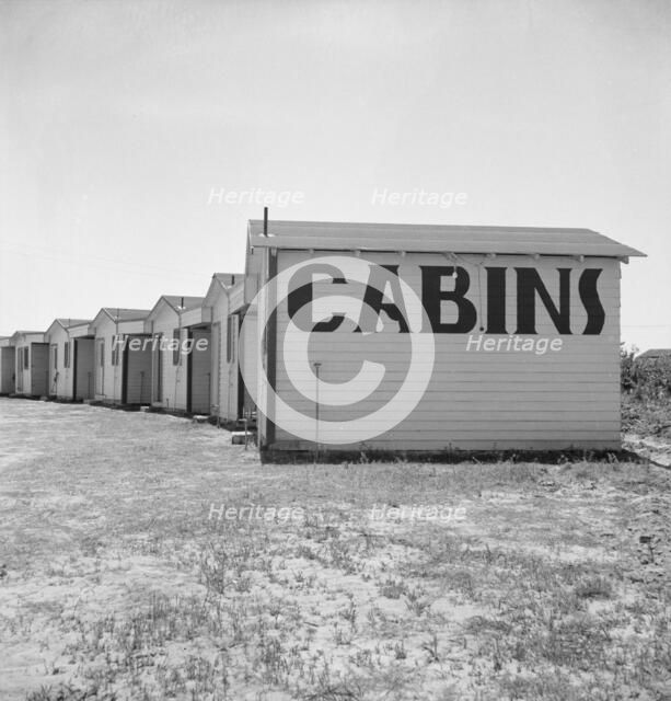 Between Tulare and Fresno, On U.S. 99, 1939. Creator: Dorothea Lange.