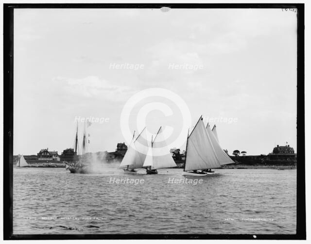 Beverly regatta, 1890 June 28. Creator: Unknown.