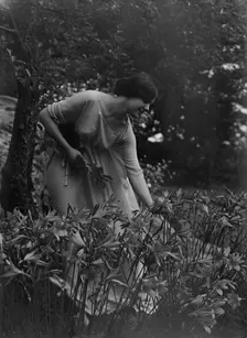 Beyer, Hilda, Miss, picking flowers in a garden, 1915 Apr. 26. Creator: Arnold Genthe