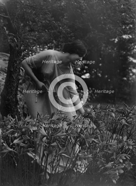 Beyer, Hilda, Miss, picking flowers in a garden, 1915 Apr. 26. Creator: Arnold Genthe.