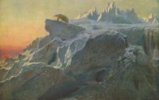 Beyond Man's Footsteps c1894, (c1930). Creator: Briton Riviere