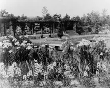 "Beacon Hill House," Arthur Curtiss James house, Beacon Hill Road, Newport, Rhode Island., 1917. Creator: Frances Benjamin Johnston