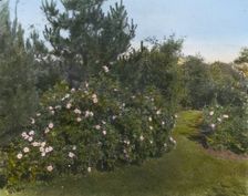 "Beacon Hill House," Arthur Curtiss James house, Beacon Hill Road, Newport, Rhode Island, 1917. Creator: Frances Benjamin Johnston