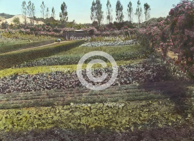 "Beacon Hill House," Arthur Curtiss James house, Beacon Hill Road, Newport, Rhode Island, 1917. Creator: Frances Benjamin Johnston.