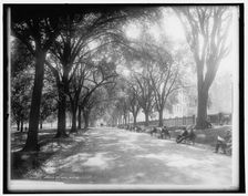 Beacon St. mall, Boston, c1899. Creator: Unknown