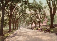Beacon Street Mall, Boston, c1899. Creator: Unknown