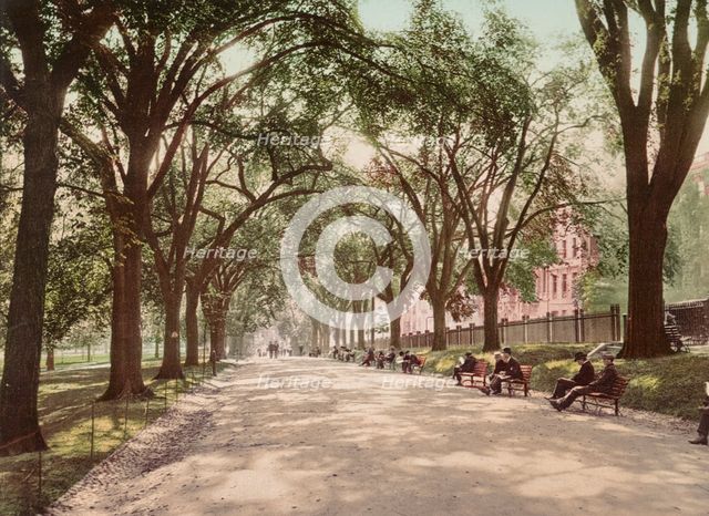 Beacon Street Mall, Boston, c1899. Creator: Unknown.