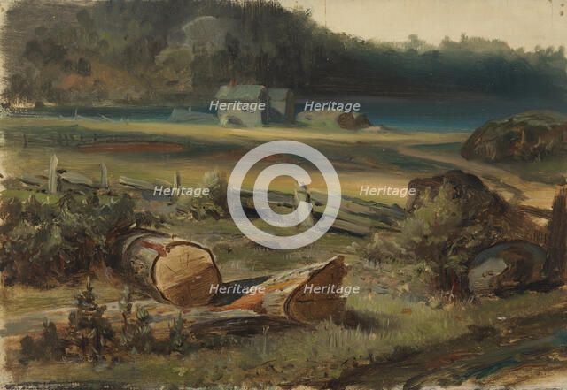 Beach landscape. Creator: Johan Knutson.