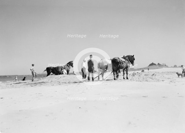 Beach scene with horses, East Hampton, Long Island, between 1933 and 1942. Creator: Arnold Genthe.