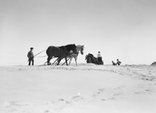 Beach scene with horses, East Hampton, Long Island, between 1933 and 1942. Creator: Arnold Genthe
