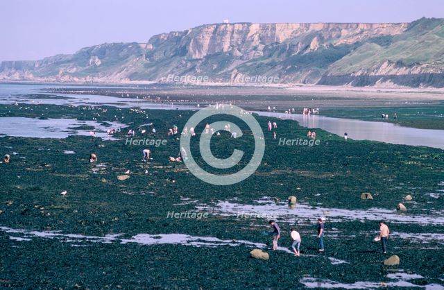 Beachcombers at Port-en-Bessin, Normandy, France. Creator: Peter Thompson.