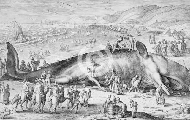 Beached Whale, 1598. Creator: Jacob Matham.