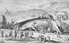 Beached Whale, 1598. Creator: Jacob Matham
