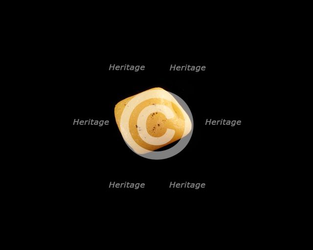 Bead, cylindrical, New Kingdom, 1550-1196 BCE. Creator: Unknown.