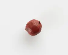 Bead; damaged, New Kingdom, 1550-1196 BCE. Creator: Unknown