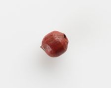 Bead; damaged, New Kingdom, 1550-1196 BCE. Creator: Unknown