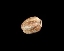 Bead, melon-shaped, New Kingdom, 1550-1196 BCE. Creator: Unknown