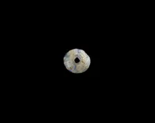 Bead, New Kingdom, 1550-1196 BCE. Creator: Unknown