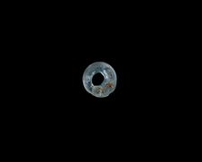 Bead, New Kingdom, 1550-1196 BCE. Creator: Unknown