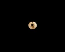 Bead, New Kingdom, 1550-1196 BCE. Creator: Unknown