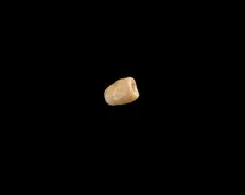 Bead, New Kingdom, 1550-1196 BCE. Creator: Unknown