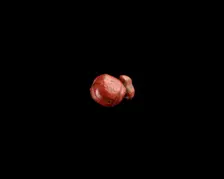 Bead, New Kingdom, 1550-1196 BCE. Creator: Unknown