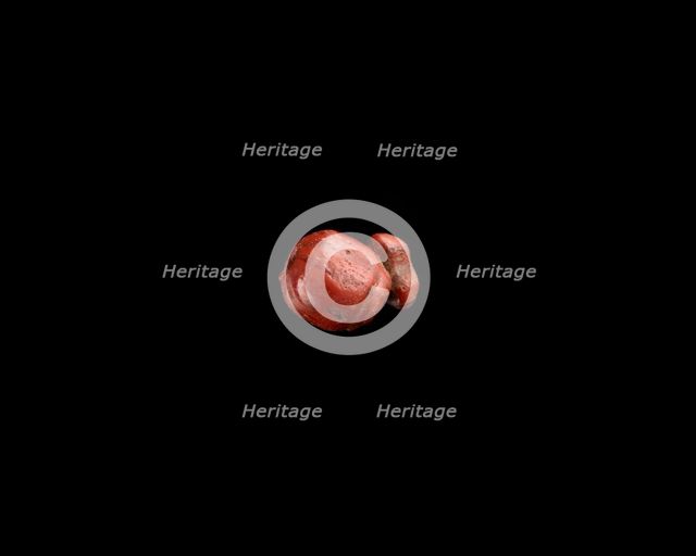 Bead, New Kingdom, 1550-1196 BCE. Creator: Unknown.