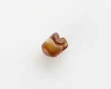 Bead, New Kingdom, 1550-1196 BCE. Creator: Unknown
