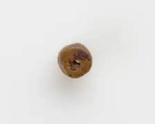Bead, New Kingdom, 1550-1196 BCE. Creator: Unknown