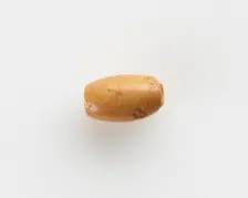 Bead, New Kingdom, 1550-1196 BCE. Creator: Unknown