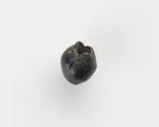 Bead, New Kingdom, 1550-1196 BCE. Creator: Unknown