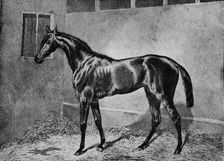 Beadsman 1855-1872, (1911)