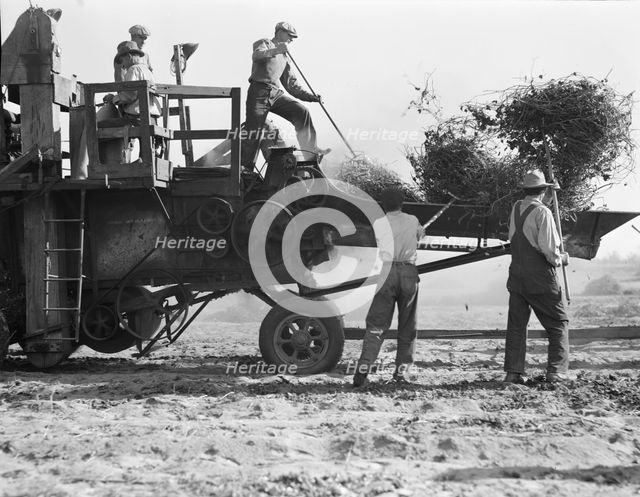 Bean thresher, mechanized agriculture between Turlock and Merced, California, 1936. Creator: Dorothea Lange.