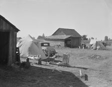 Bean pickers camp in grower's yard - no running..., near West Stayton, Marion County, Oregon, 1939. Creator: Dorothea Lange