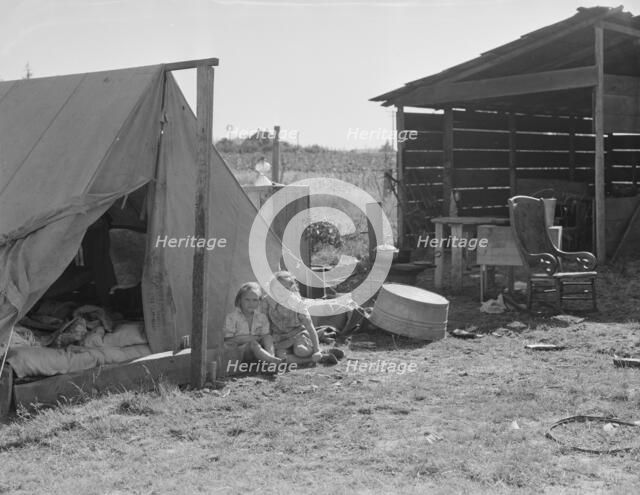 Bean pickers camp in grower's yard - no running..., near West Stayton, Marion County, Oregon, 1939. Creator: Dorothea Lange.