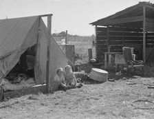 Bean pickers camp in grower's yard - no running..., near West Stayton, Marion County, Oregon, 1939. Creator: Dorothea Lange