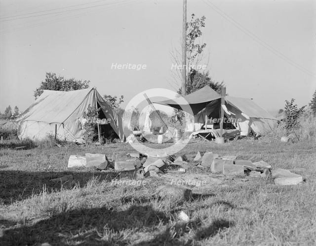 Bean pickers' camp,Oregon, Marion county, near West Stayton, Oregon, 1939. Creator: Dorothea Lange.