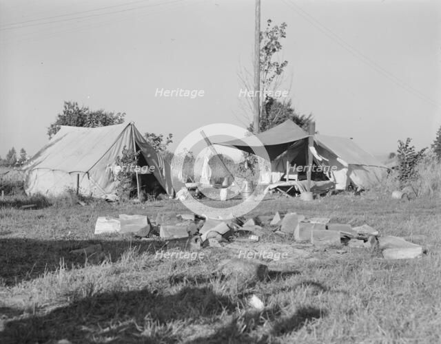 Bean pickers' camp,Oregon, Marion county, near West Stayton, Oregon, 1939. Creator: Dorothea Lange.