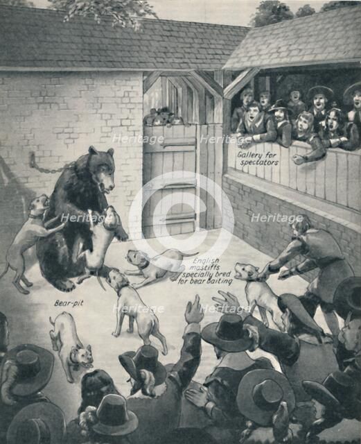 'Bear-Baiting in a Stuart Bear Pit', c1934. Artist: Unknown.