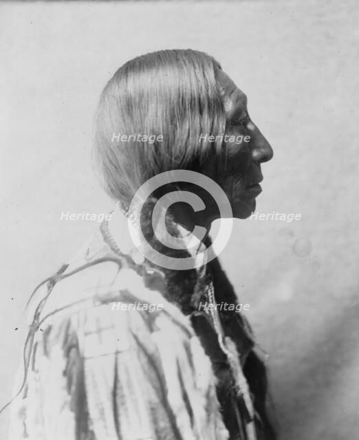 Bear Black, c1905. Creator: Edward Sheriff Curtis.